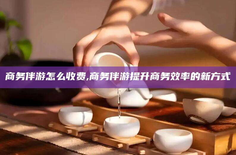 楚雄商务伴游怎么收费,商务伴游提升商务效率的新方式